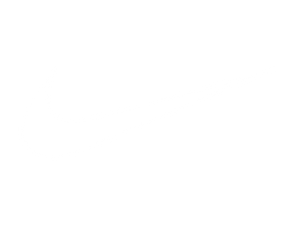 Nike LOGO AT Goatkits Boots latest Boots, Shoes and Cleats With the best Price and best quality in the market